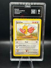 Spearow Jungle (1st Edition) 62/64