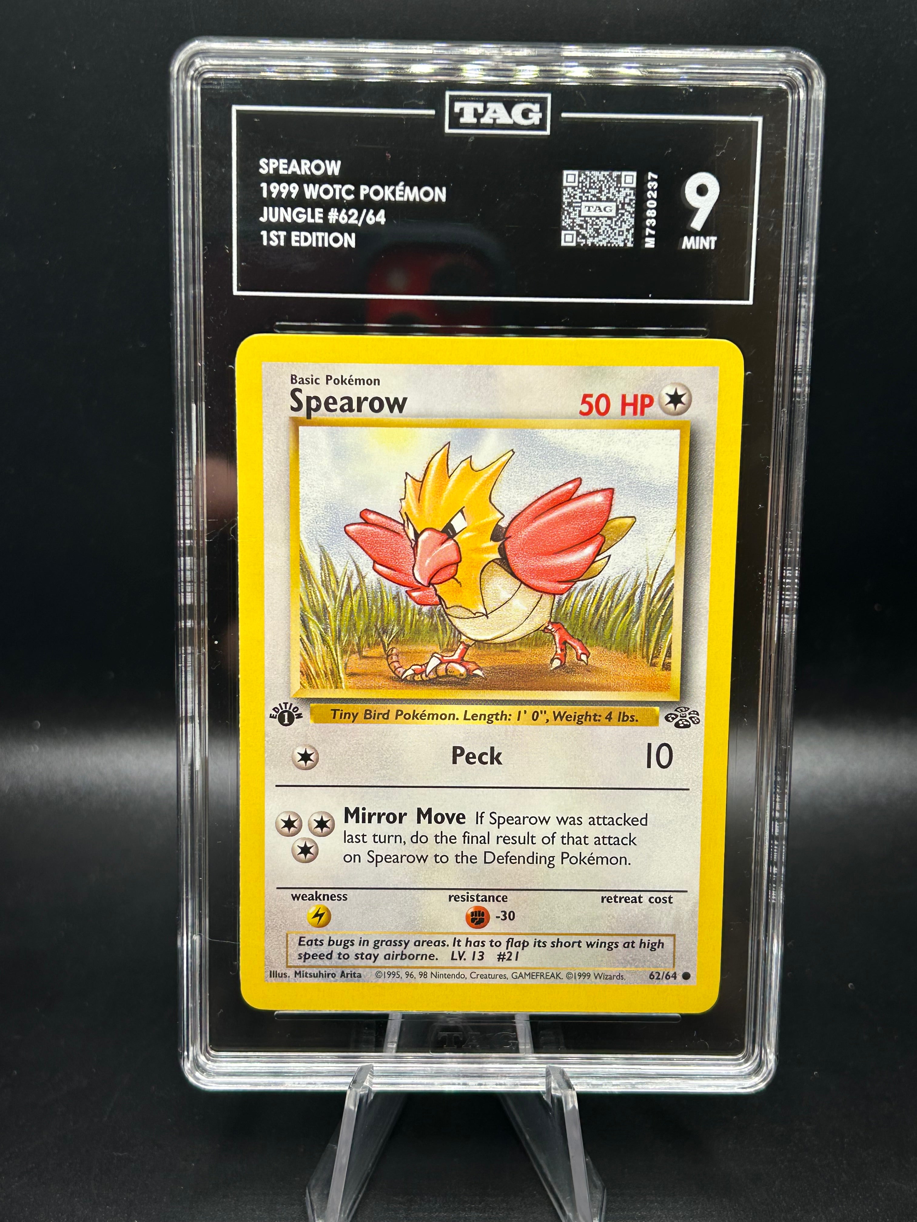 Spearow Jungle (1st Edition) 62/64