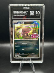 Paldean Wooper (Chinese) Gem 1 Stamped