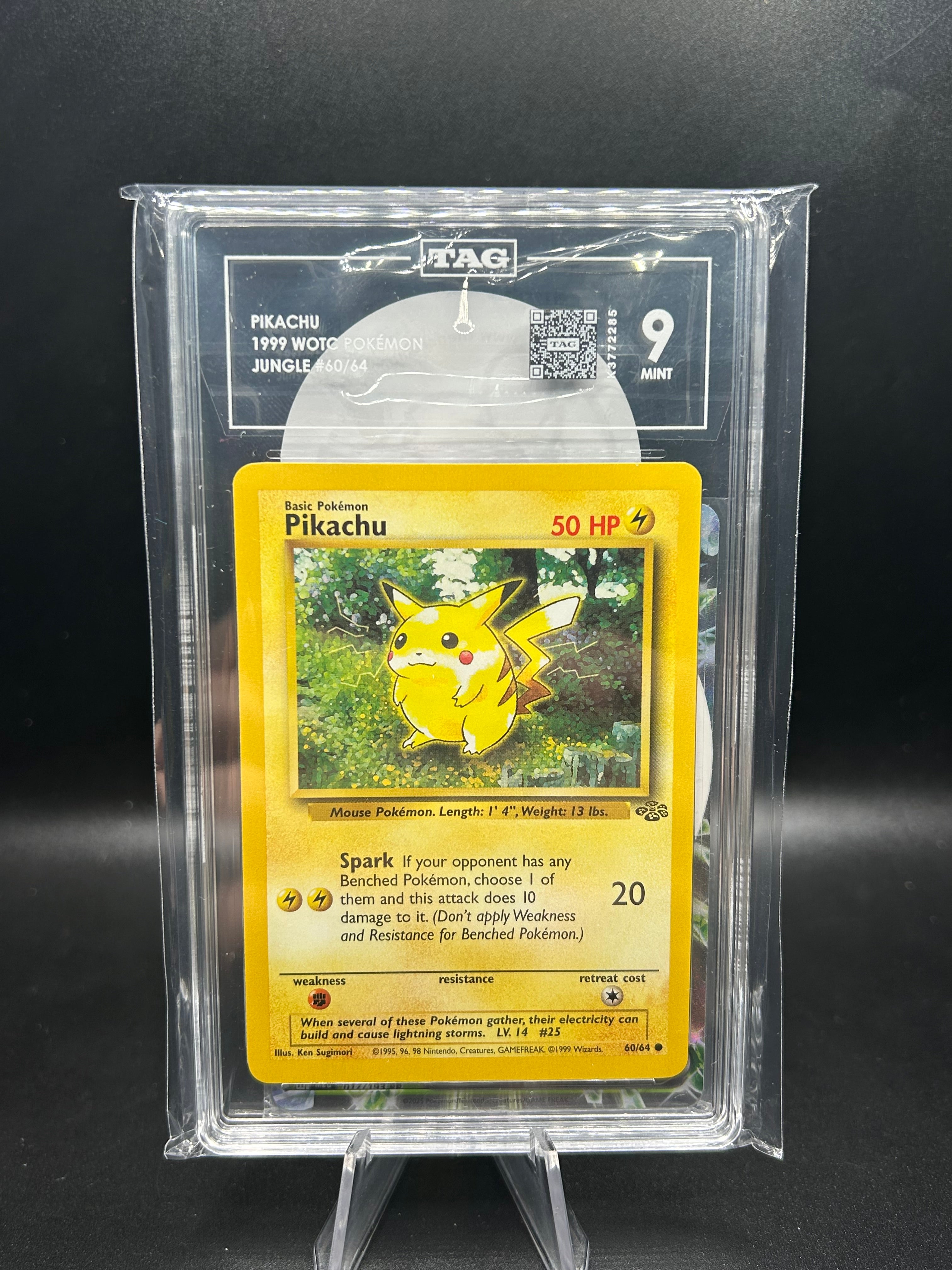 Pikachu Jungle (Unlimited) 60/65