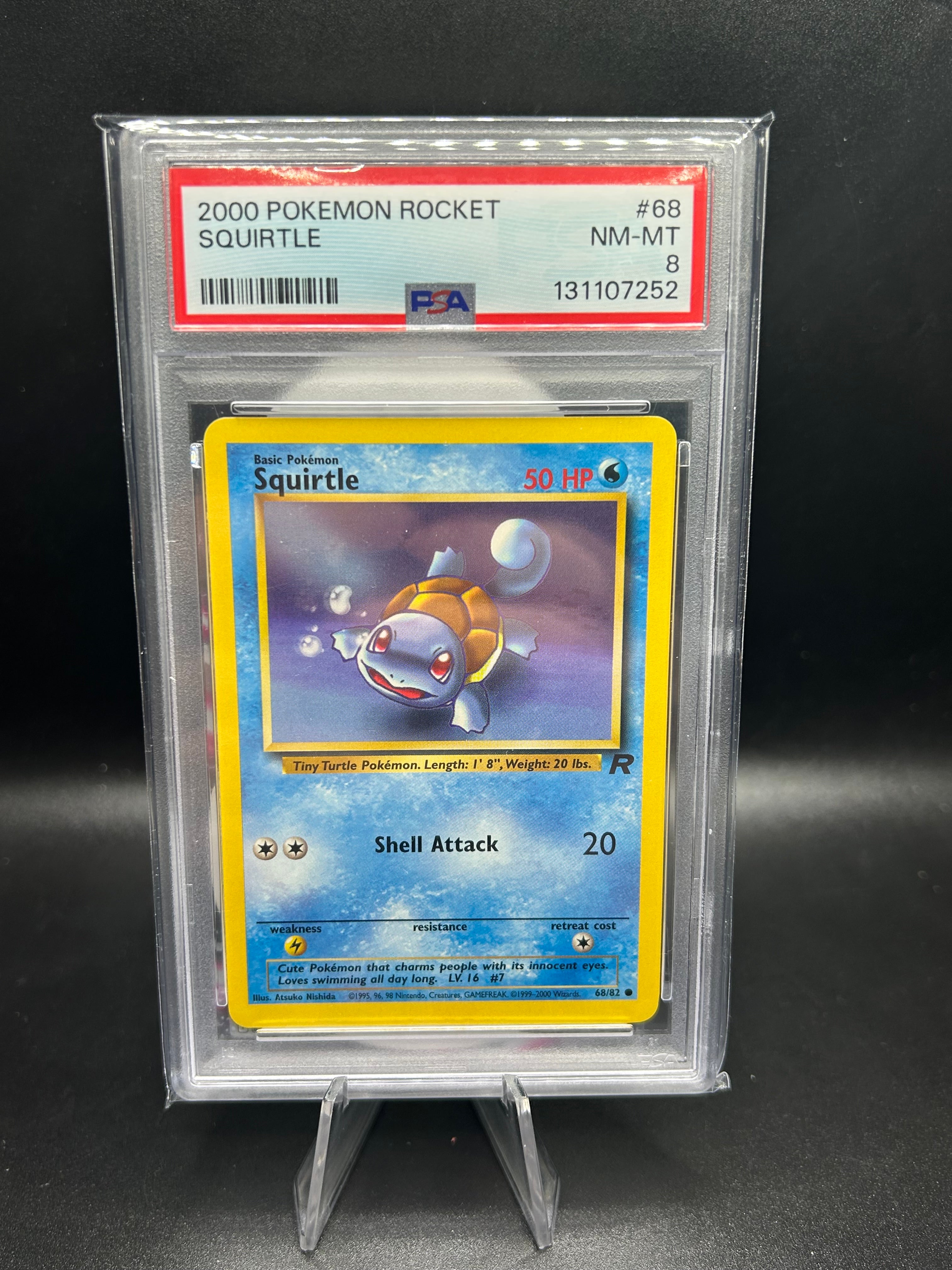 Sequentially Graded Squirtle & Dark Wartorle