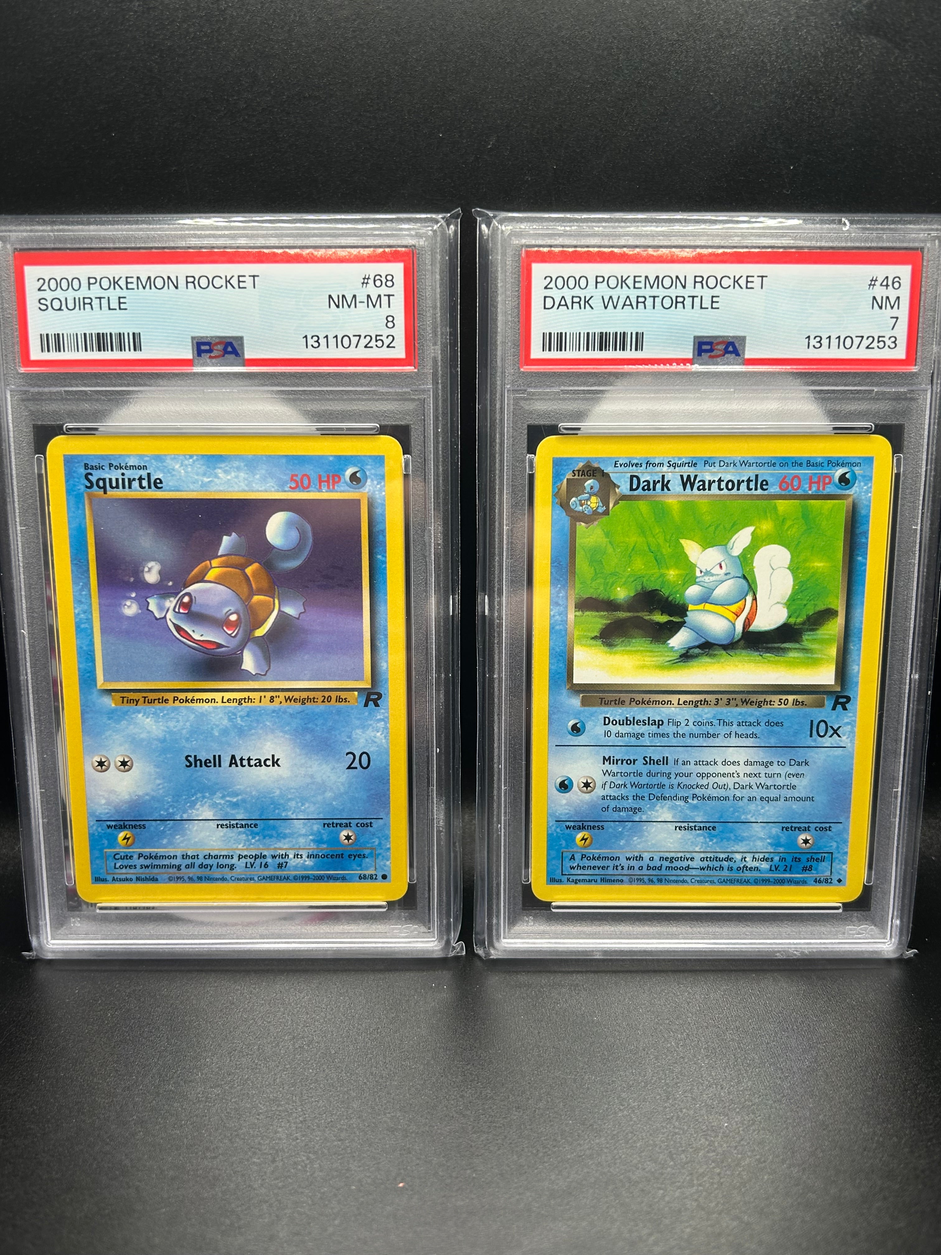 Sequentially Graded Squirtle & Dark Wartorle
