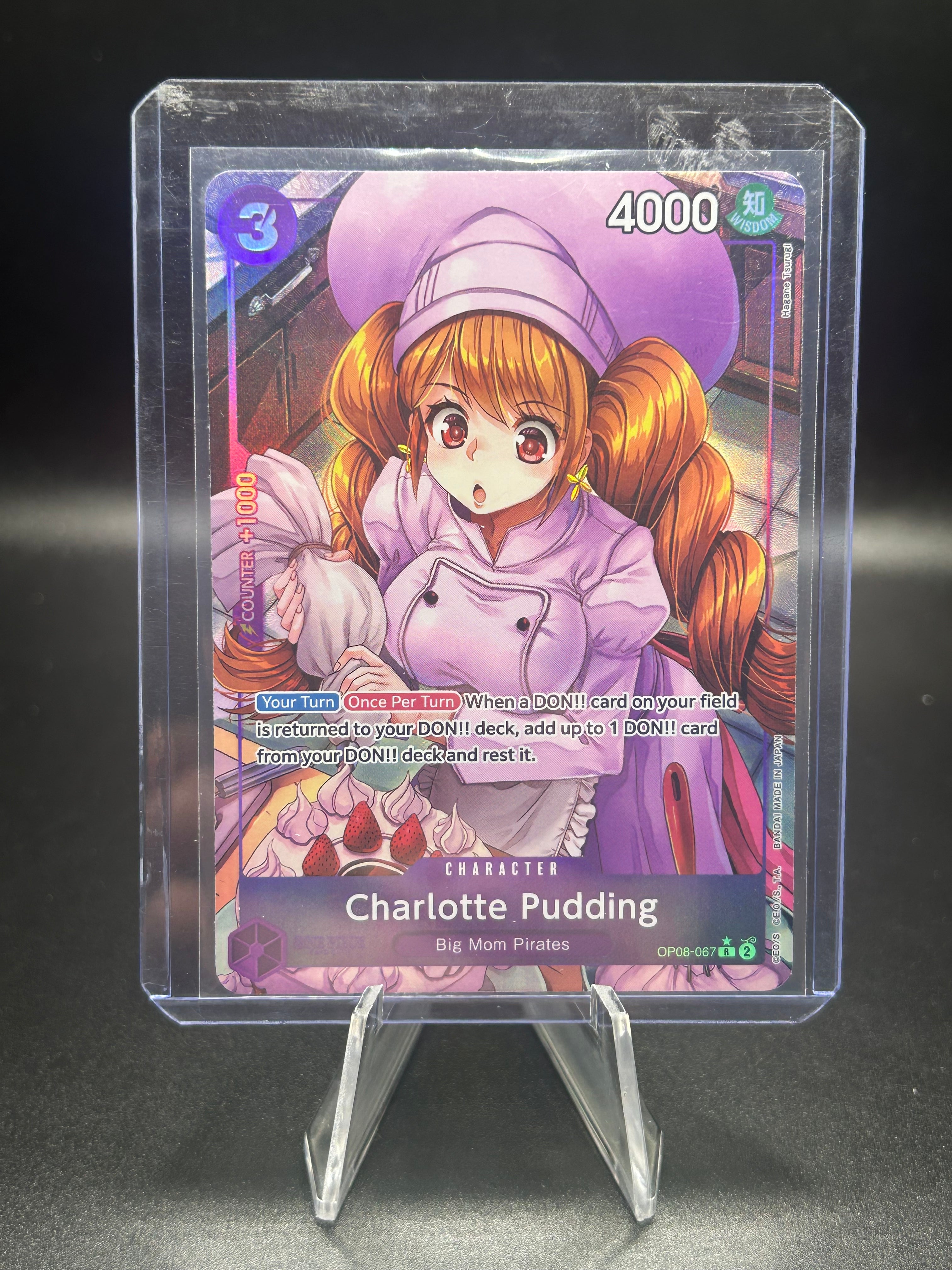 Charlotte Pudding 67 (Parallel)
