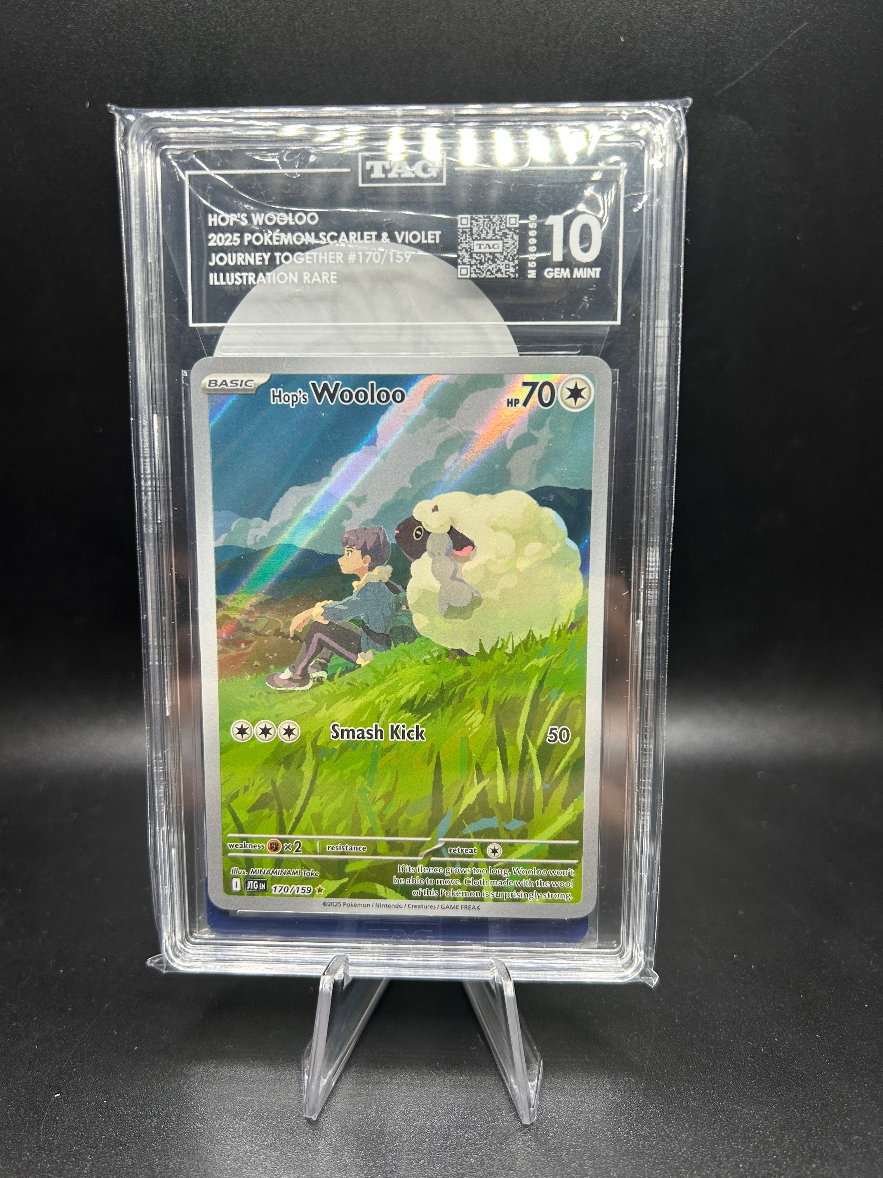 Hop's Wooloo Journey Together 170/159