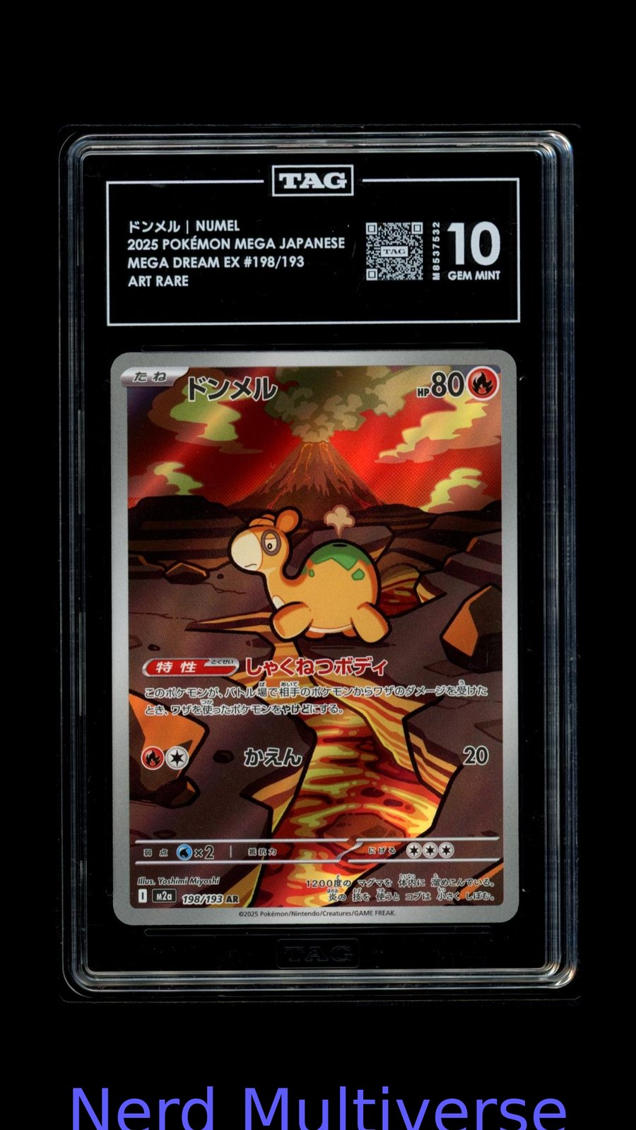 ドンメル NUMEL 198/193 ART RARE MEGA DREAM EX POKEMON TAG 10 532